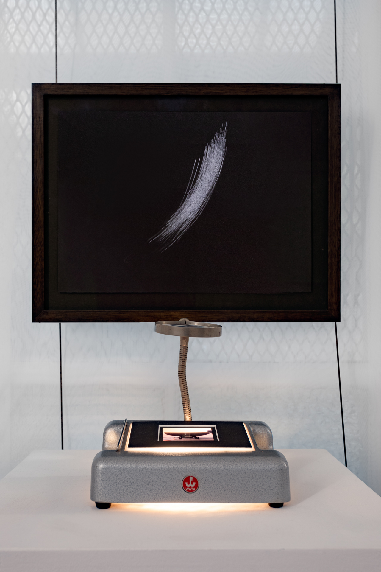 Sam Ainsley installation view