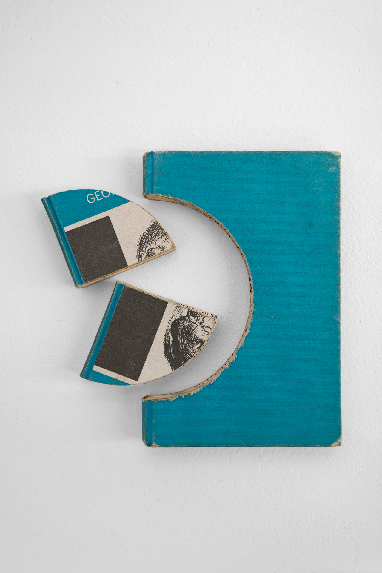 Sam Ainsley installation view